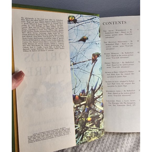 1965 Vintage Golden Press Walt Disney's World of Nature - Picture 5 of 9